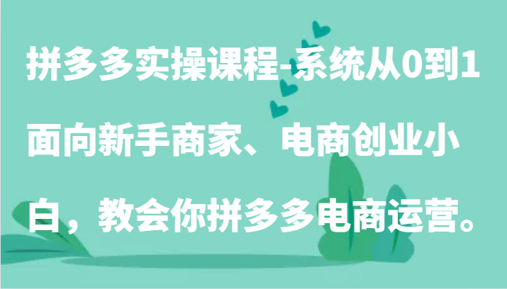 拼多多实操课程-系统从0到1，面向新手商家、电商创业小白，教会你拼多多电商运营。-枫客网创