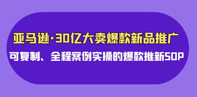 亚马逊30亿大卖爆款新品推广，可复制、全程案例实操的爆款推新SOP-枫客网创