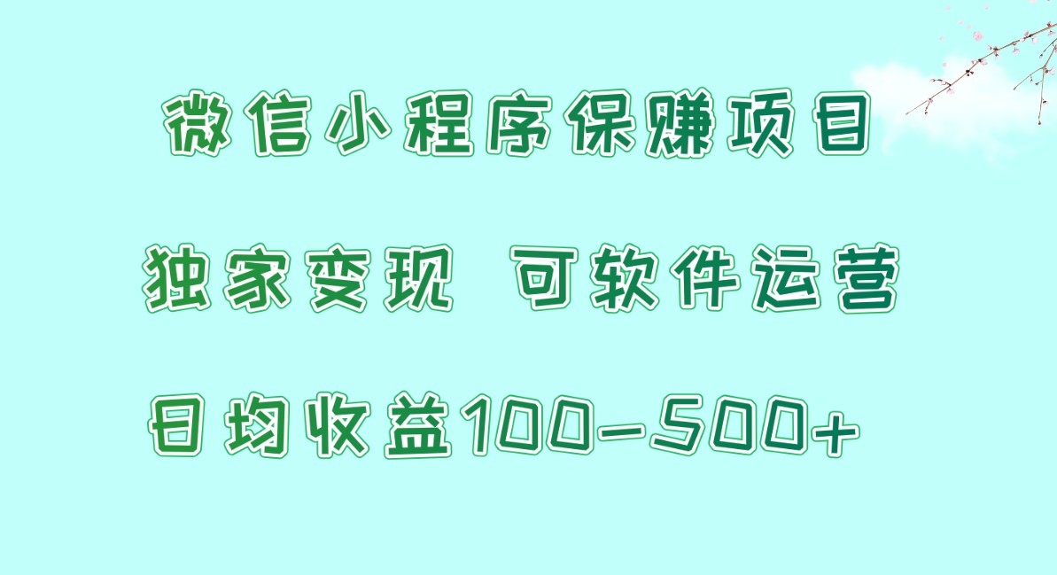 微信小程序保赚项目，日均收益100~500+，独家变现，可软件运营-枫客网创