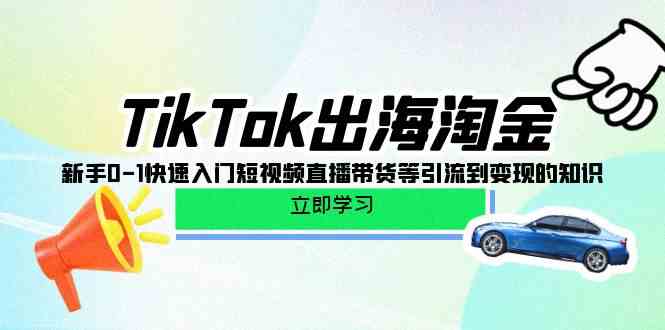 TikTok出海淘金，新手0-1快速入门短视频直播带货等引流到变现的知识-枫客网创