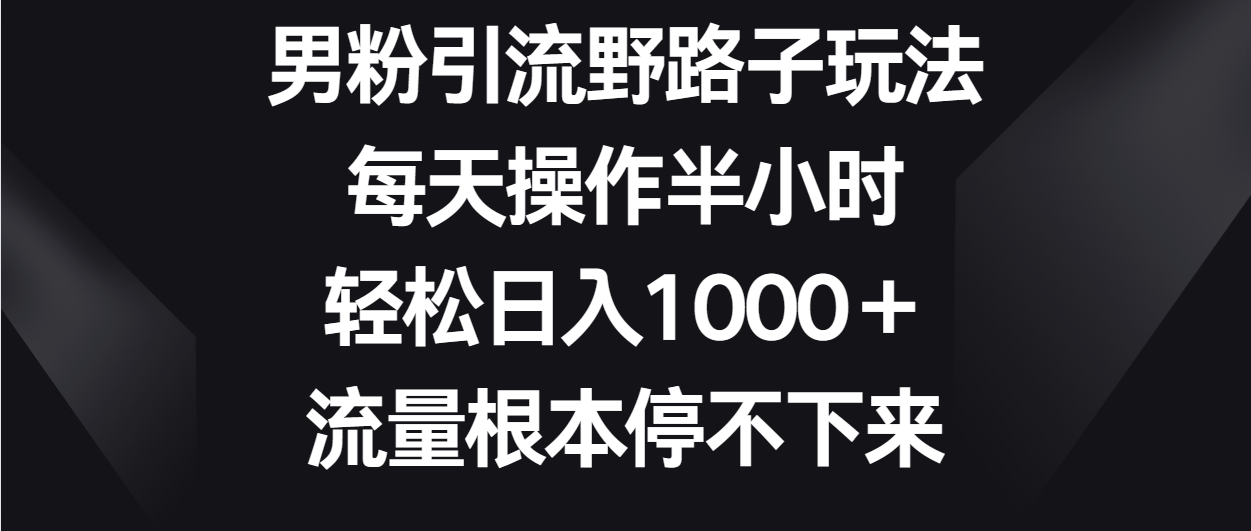 男粉引流野路子玩法，每天操作半小时轻松日入1000＋，流量根本停不下来-枫客网创