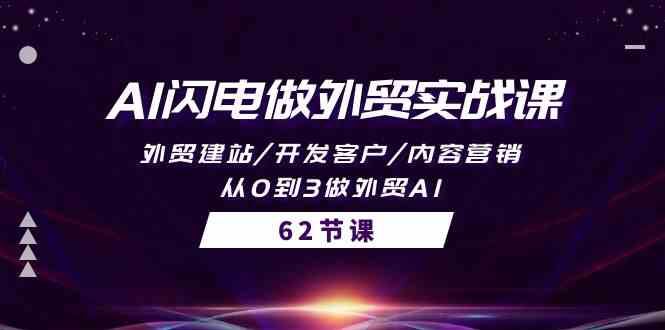 AI闪电做外贸实战课，外贸建站/开发客户/内容营销/从0到3做外贸AI（61节）-枫客网创