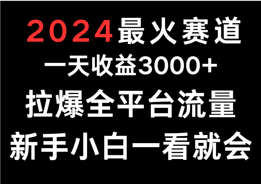 2024最火赛道，一天收一3000+.拉爆全平台流量，新手小白一看就会-枫客网创