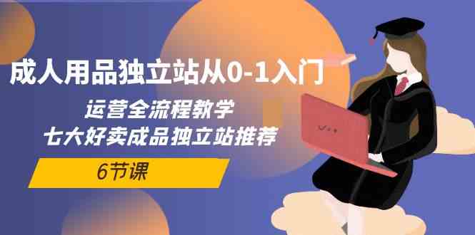 成人用品独立站从0-1入门，运营全流程教学，七大好卖成品独立站推荐（6节课）-枫客网创