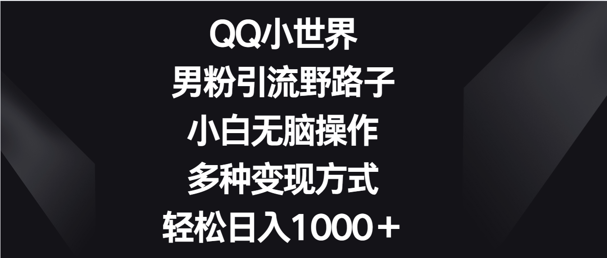 QQ小世界男粉引流野路子，小白无脑操作，多种变现方式轻松日入1000＋-枫客网创