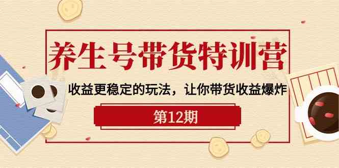 养生号带货特训营【12期】收益更稳定的玩法，让你带货收益爆炸（9节直播课）-枫客网创