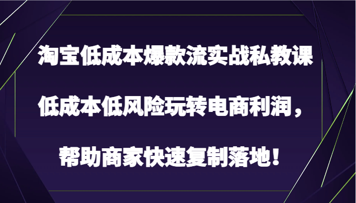 淘宝低成本爆款流实战私教课，低成本低风险玩转电商利润，帮助商家快速复制落地！-枫客网创