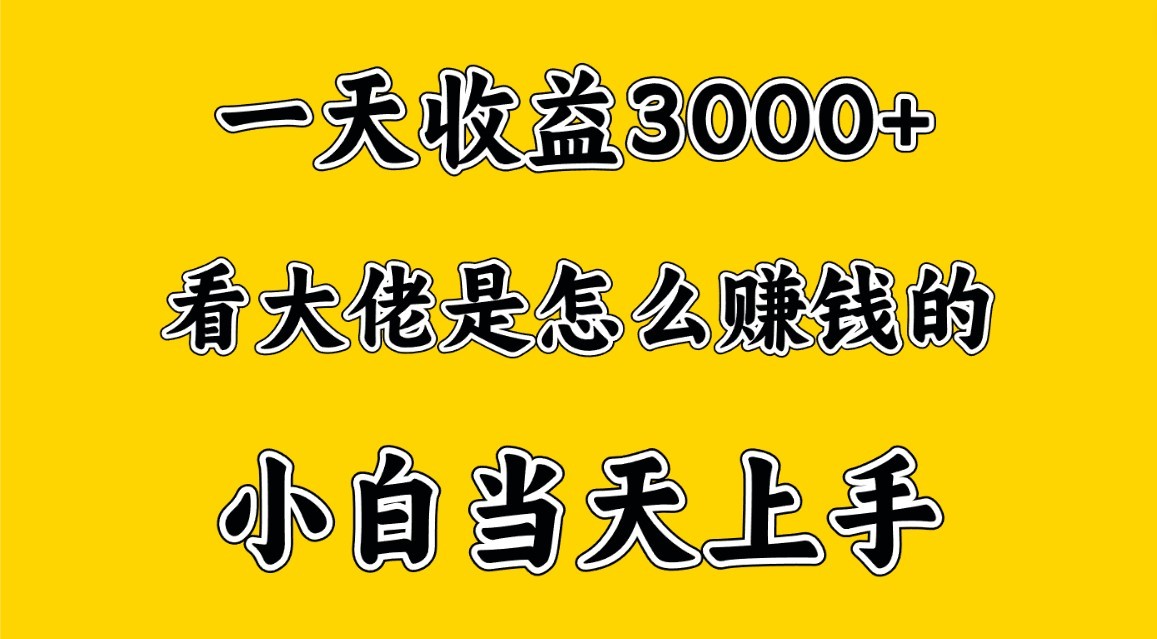 一天赚3000多，大佬是这样赚到钱的，小白当天上手，穷人翻身项目-枫客网创