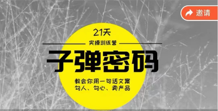 《子弹密码训练营》用一句话文案勾人勾心卖产品，21天学到顶尖文案大师策略和技巧-枫客网创