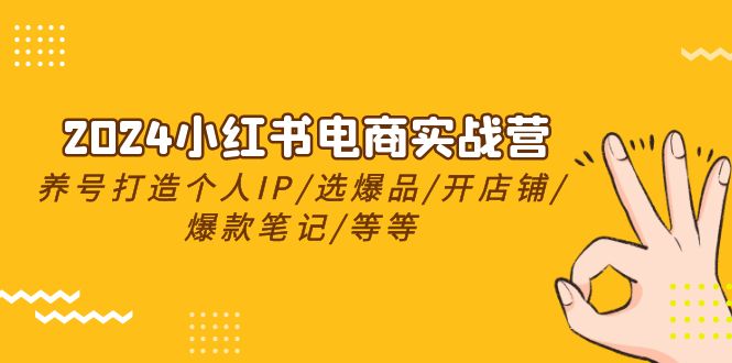 2024小红书电商实战营，养号打造IP/选爆品/开店铺/爆款笔记/等等（24节）-枫客网创