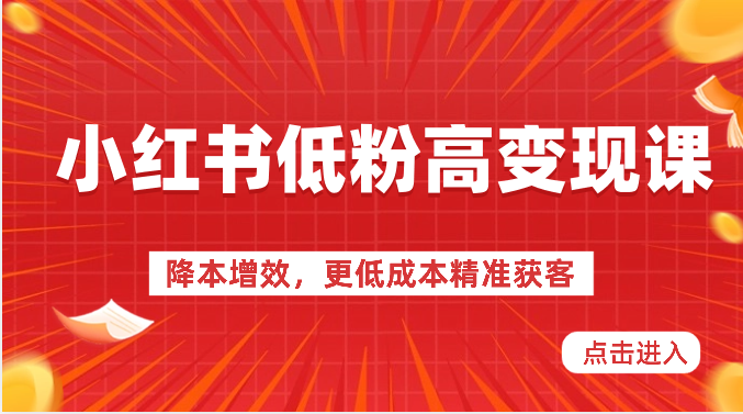 小红书低粉高变现课-降本增效，更低成本精准获客，小红书必爆的流量密码-枫客网创