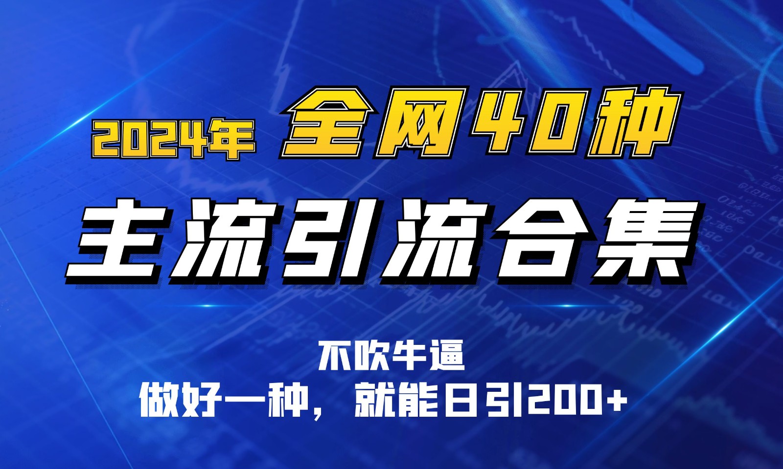 2024年全网40种暴力引流合计，做好一样就能日引100+-枫客网创