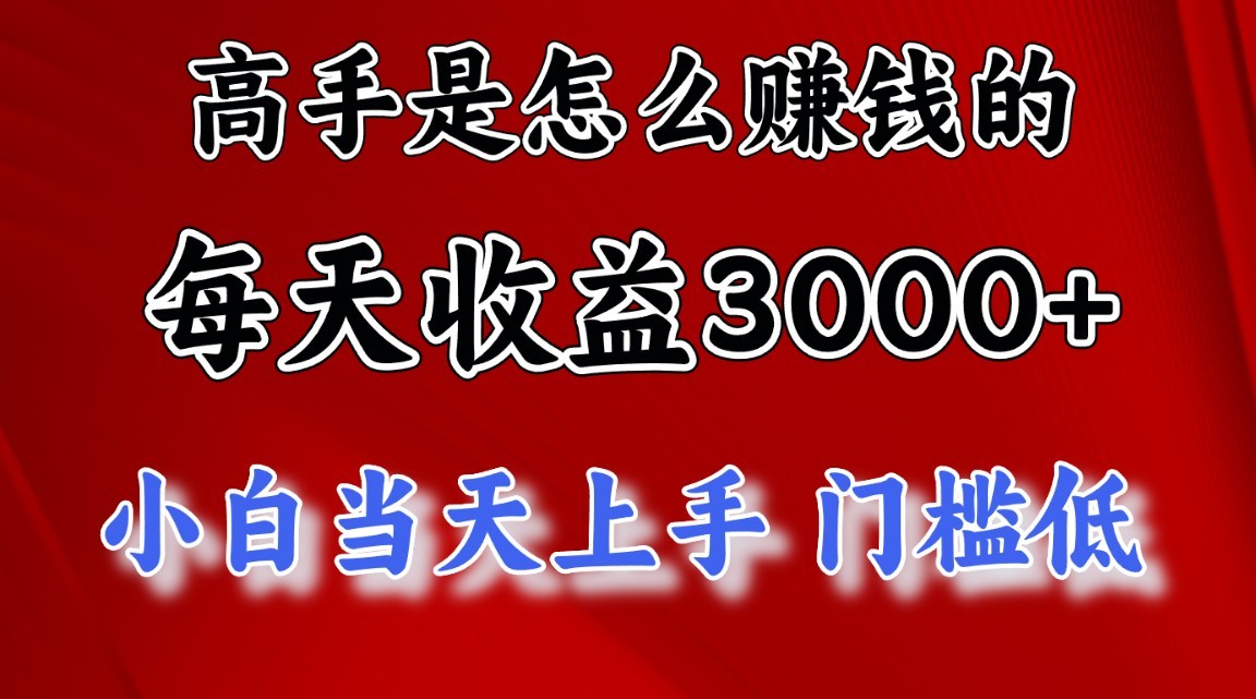 高手是怎么赚钱的，一天收益3000+，闷声发财项目，不是一般人能看懂的-枫客网创