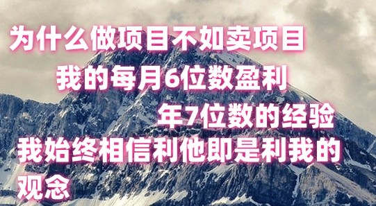 做项目不如卖项目，每月6位数盈利，年7位数经验-枫客网创