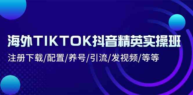 海外TIKTOK抖音精英实操班：注册下载/配置/养号/引流/发视频/等等-枫客网创