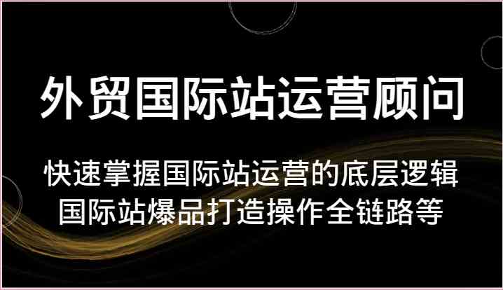 外贸国际站运营顾问-快速掌握国际站运营的底层逻辑，国际站爆品打造操作全链路等-枫客网创