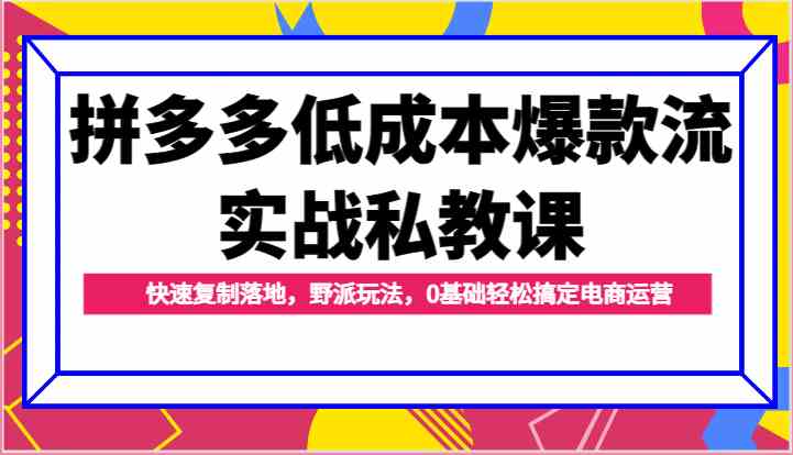 拼多多低成本爆款流实战私教课，快速复制落地，野派玩法，0基础轻松搞定电商运营-枫客网创