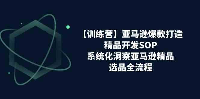 亚马逊爆款打造之精品开发SOP【训练营】，系统化洞察亚马逊精品选品全流程-枫客网创