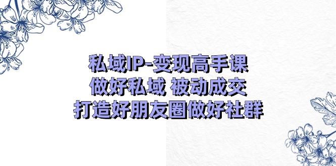 私域IP变现高手课：做好私域被动成交，打造好朋友圈做好社群（18节）-枫客网创