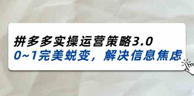 2024-2025拼多多实操运营策略3.0，0~1完美蜕变，解决信息焦虑（38节）-枫客网创