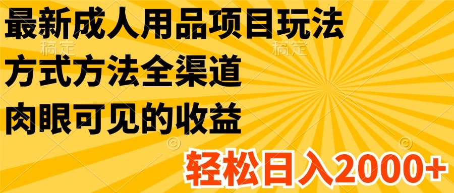 最新成人用品项目玩法，方式方法全渠道，肉眼可见的收益，轻松日入2000+-枫客网创