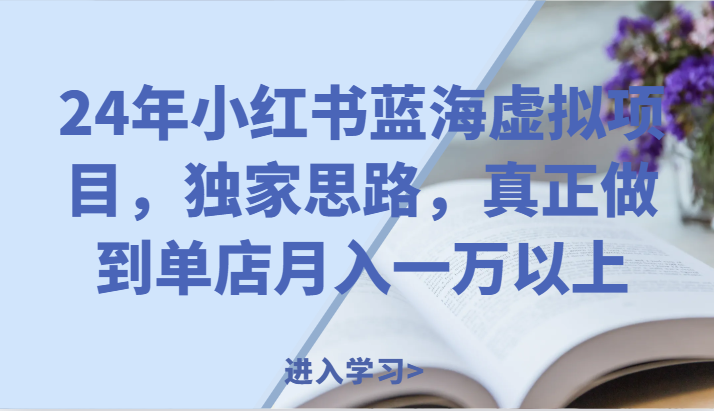 24年小红书蓝海虚拟项目，独家思路，真正做到单店月入一万以上。-枫客网创