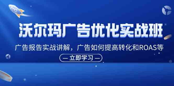 沃尔玛广告优化实战班，广告报告实战讲解，广告如何提高转化和ROAS等-枫客网创