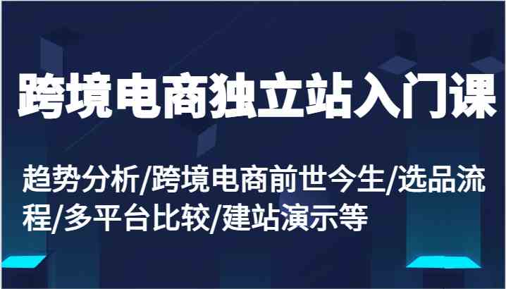 跨境电商独立站入门课：趋势分析/跨境电商前世今生/选品流程/多平台比较/建站演示等-枫客网创