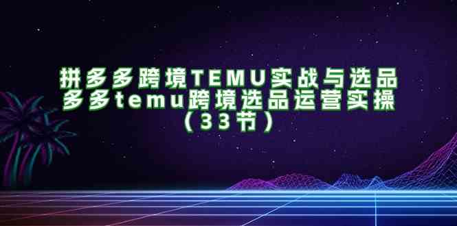 拼多多跨境TEMU实战与选品，多多temu跨境选品运营实操（33节）-枫客网创