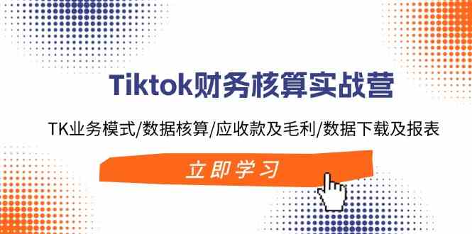 Tiktok财务核算实战营：TK业务模式/数据核算/应收款及毛利/数据下载及报表-枫客网创