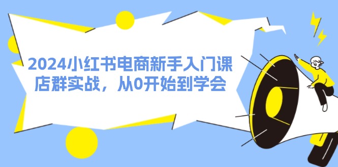 2024小红书电商新手入门课，店群实战，从0开始到学会（31节）-枫客网创