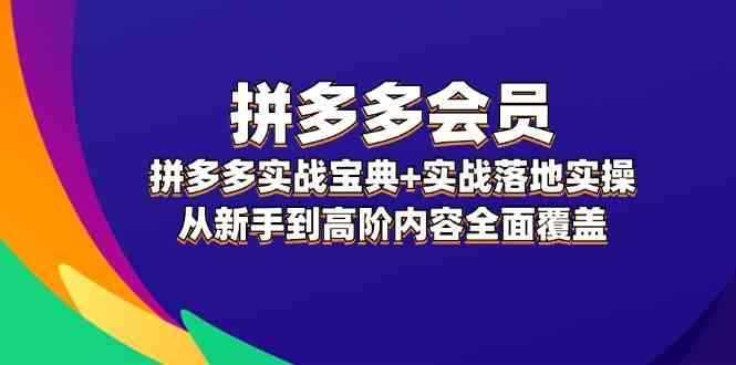 拼多多会员实战宝典+实战落地实操，从新手到高阶内容全面覆盖-枫客网创