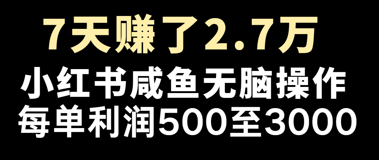 七天赚了2.7万！每单利润最少500+，轻松月入5万+小白有手就行-枫客网创