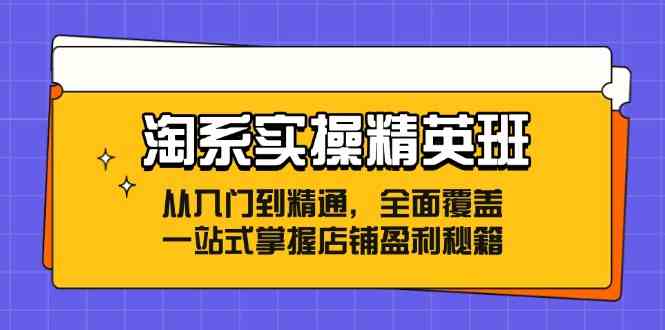 淘系实操精英班：从入门到精通，全面覆盖，一站式掌握店铺盈利秘籍-枫客网创