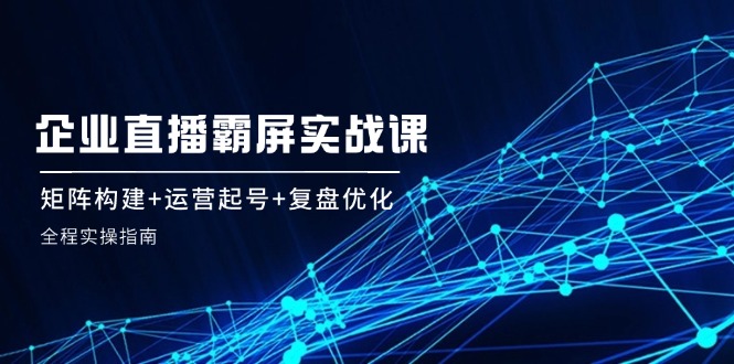 企业直播霸屏实战课：矩阵构建+运营起号+复盘优化，全程实操指南-枫客网创