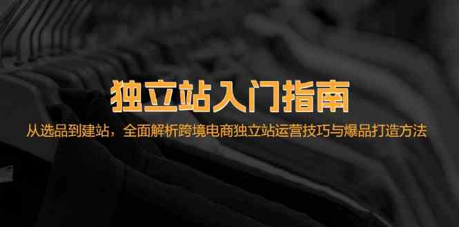 独立站入门指南：从选品到建站，全面解析跨境电商独立站运营技巧与爆品打造方法-枫客网创