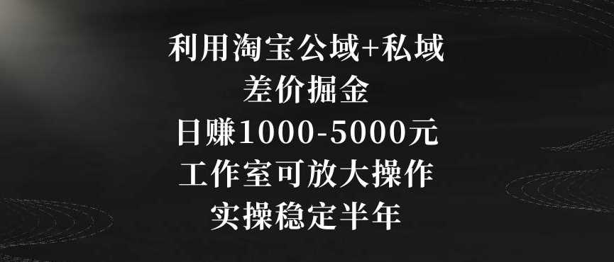 利用淘宝公域+私域差价掘金，日赚1000-5000元，工作室可放大操作，实操稳定半年【揭秘】-枫客网创