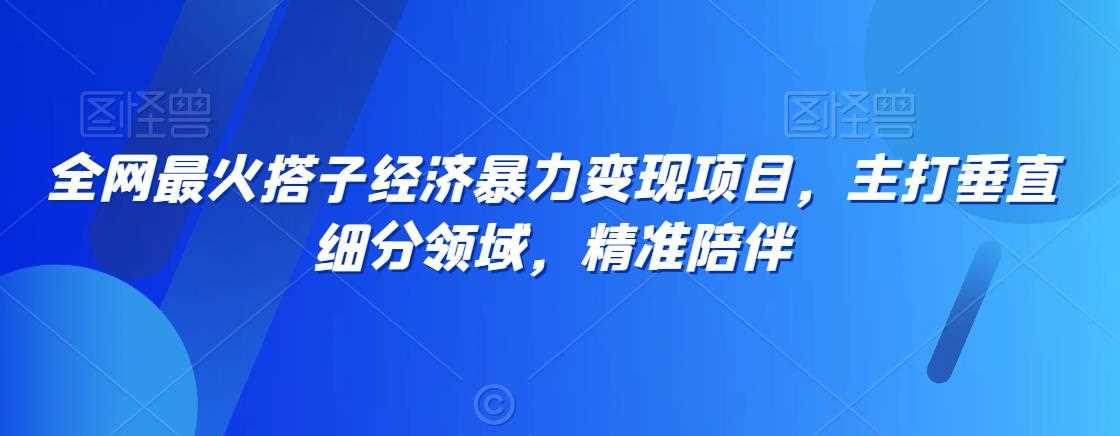 全网最火搭子经济暴力变现项目，主打垂直细分领域，精准陪伴【揭秘】-枫客网创