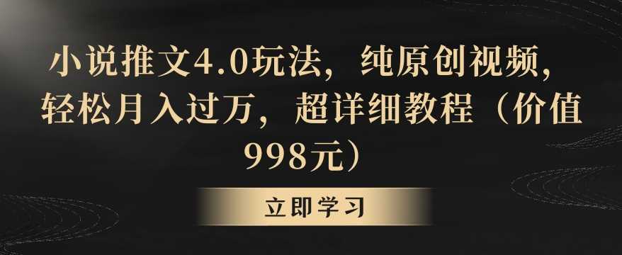 小说推文4.0玩法，纯原创视频，轻松月入过万，超详细教程（价值998元）【揭秘】-枫客网创