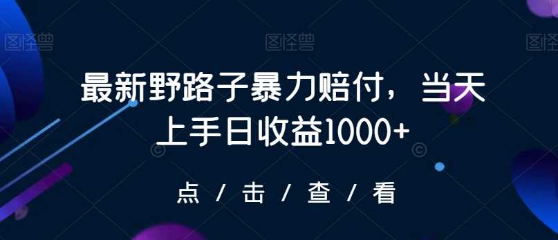 最新野路子暴力赔付，当天上手日收益1000+【仅揭秘】-枫客网创