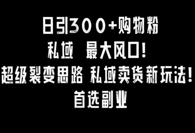 日引300+购物粉，超级裂变思路，私域卖货新玩法，小红书首选副业【揭秘】-枫客网创