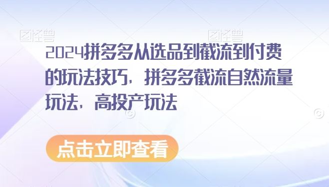 2024拼多多从选品到截流到付费的玩法技巧，拼多多截流自然流量玩法，高投产玩法-枫客网创