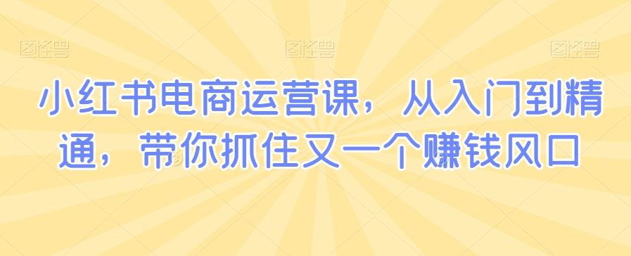 小红书电商运营课，从入门到精通，带你抓住又一个赚钱风口-枫客网创