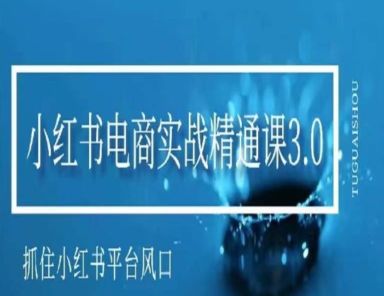 小红书电商实战精通课3.0，抓住小红书平台的风口，不错过有一个赚钱的机会-枫客网创