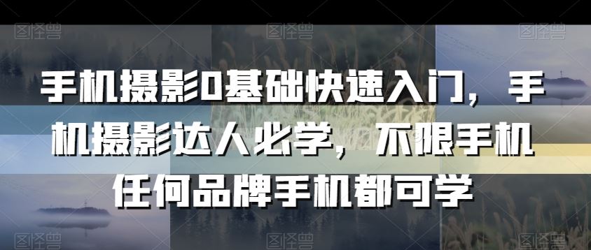 手机摄影0基础快速入门，手机摄影达人必学，不限手机任何品牌手机都可学-枫客网创