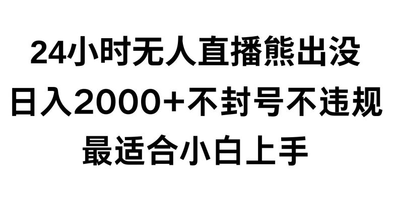 快手24小时无人直播熊出没，不封直播间，不违规，日入2000+，最适合小白上手，保姆式教学【揭秘】-枫客网创