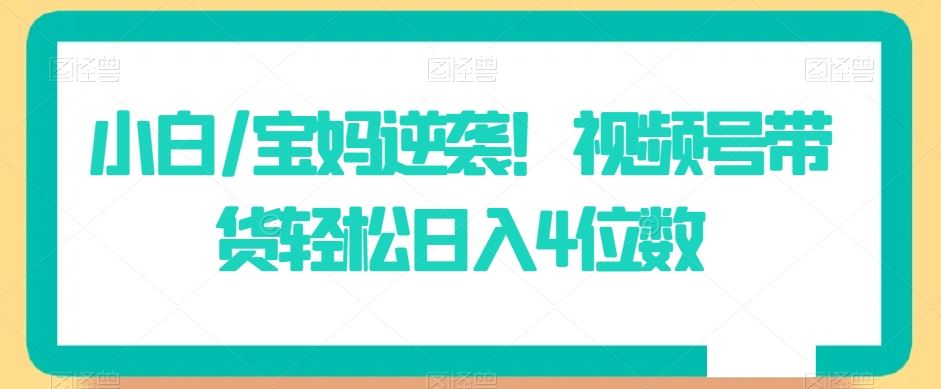 小白/宝妈逆袭！视频号带货轻松日入4位数【揭秘】-枫客网创