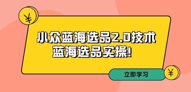 拼多多培训第33期：小众蓝海选品2.0技术-蓝海选品实操！-枫客网创