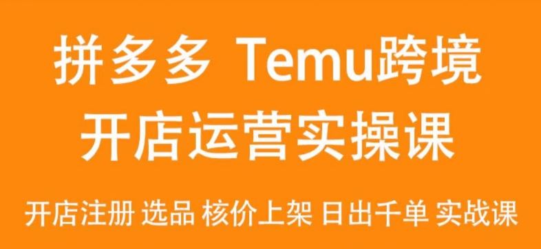 2024Temu最新玩法，Temu跨境开店运营实操课，开店注册/选品/核价上架/日出千单实战课-枫客网创