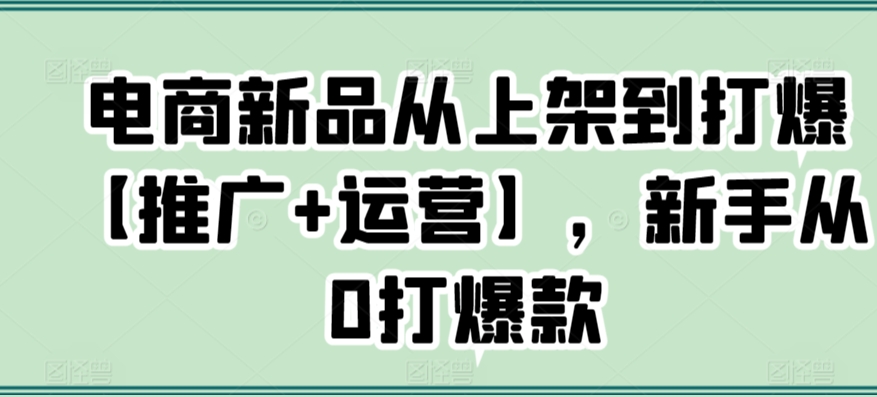 电商新品从上架到打爆【推广+运营】，新手从0打爆款-枫客网创